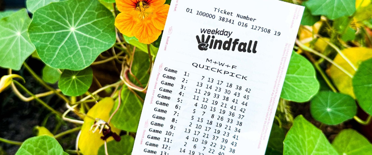 Tasmania Here I Come says $1 million Weekday Windfall Winner